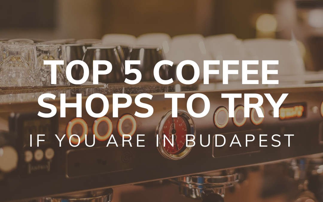 Top 5 Specialty Café Shops in Budapest: Where to Sip and Savor